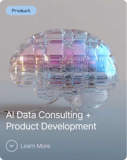 AI Data Consulting + Product Development